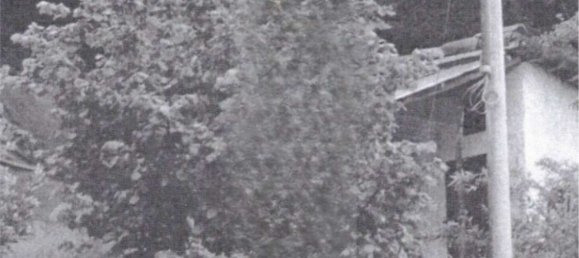 Дом с 4 комнатами в Гроньярдо, Италия № 30923 4