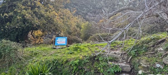 Terreno en Santo-Pietro-di-Tenda, France 842 m² No. 44220 24