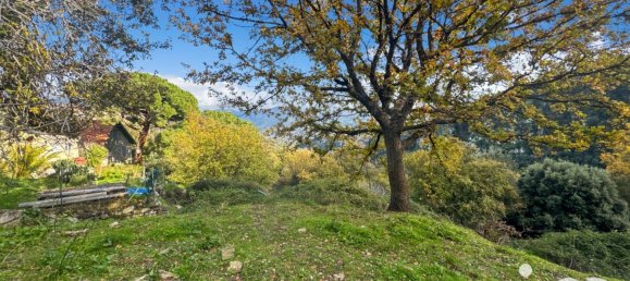 Terreno en Santo-Pietro-di-Tenda, France 842 m² No. 44220 10