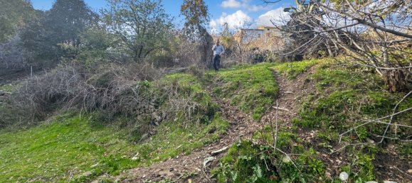 Terreno en Santo-Pietro-di-Tenda, France 842 m² No. 44220 14