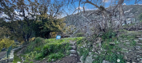 Terreno en Santo-Pietro-di-Tenda, France 842 m² No. 44220 23