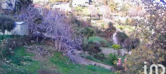 Terreno en Santo-Pietro-di-Tenda, France 842 m² No. 44220 22