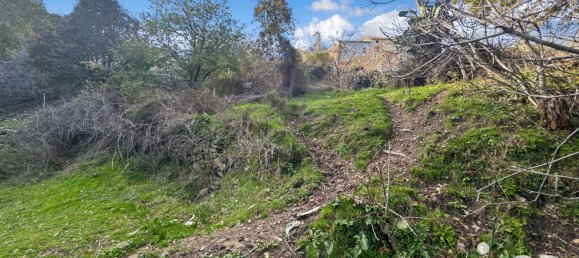 Terreno en Santo-Pietro-di-Tenda, France 842 m² No. 44220 8