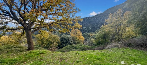 Terreno en Santo-Pietro-di-Tenda, France 842 m² No. 44220 6