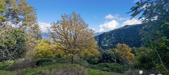 Terreno en Santo-Pietro-di-Tenda, France 842 m² No. 44220 17