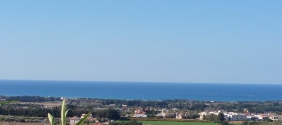 Studio in Paphos, Cyprus, Nr. 12819 14