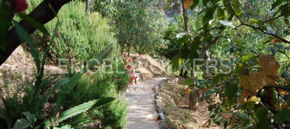 4 bedrooms Villa in Deiva Marina, Italy No. 132722 22