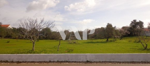 4530m² Land in Almancil, Portugal No. 135307 6