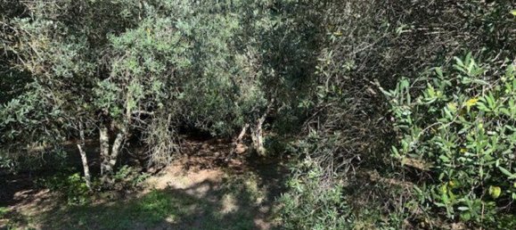  Land in Sessa Aurunca, Italy No. 356990 30