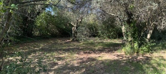  Land in Sessa Aurunca, Italy No. 356990 14