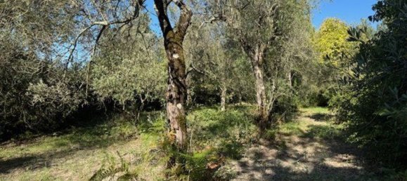  Land in Sessa Aurunca, Italy No. 356990 2