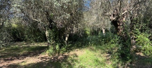  Land in Sessa Aurunca, Italy No. 356990 15