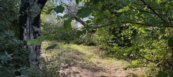  Land in Sessa Aurunca, Italy No. 356990 10