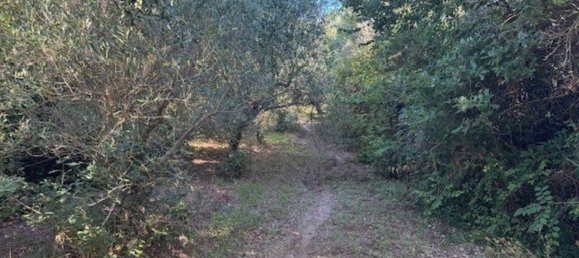  Land in Sessa Aurunca, Italy No. 356990 8