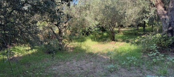  Land in Sessa Aurunca, Italy No. 356990 34