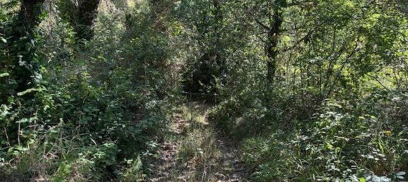  Land in Sessa Aurunca, Italy No. 356990 17