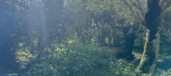  Land in Sessa Aurunca, Italy No. 356990 13