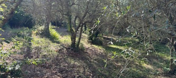  Land in Sessa Aurunca, Italy No. 356990 4