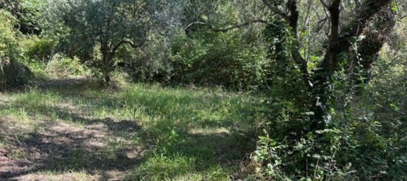  Land in Sessa Aurunca, Italy No. 356990 18