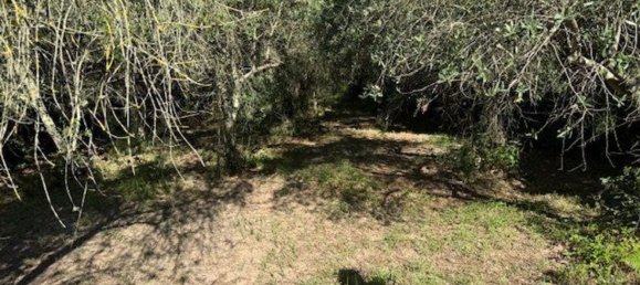  Land in Sessa Aurunca, Italy No. 356990 25