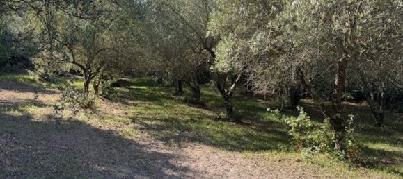  Land in Sessa Aurunca, Italy No. 356990 3
