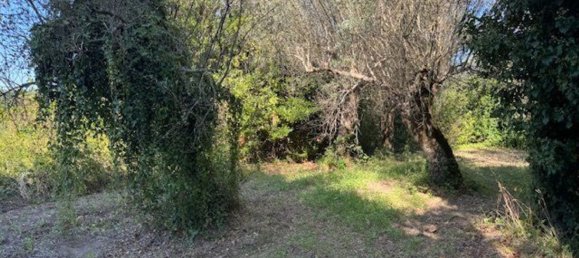  Land in Sessa Aurunca, Italy No. 356990 21