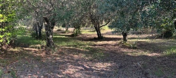  Land in Sessa Aurunca, Italy No. 356990 5
