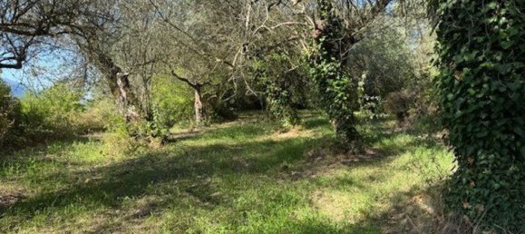  Land in Sessa Aurunca, Italy No. 356990 16