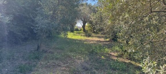  Land in Sessa Aurunca, Italy No. 356990 24