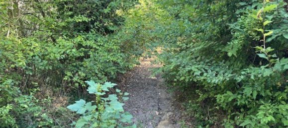  Land in Sessa Aurunca, Italy No. 356990 11