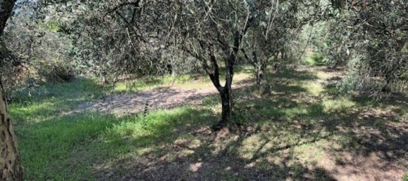  Land in Sessa Aurunca, Italy No. 356990 33