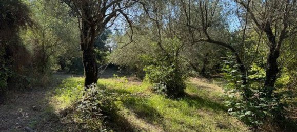  Land in Sessa Aurunca, Italy No. 356990 7