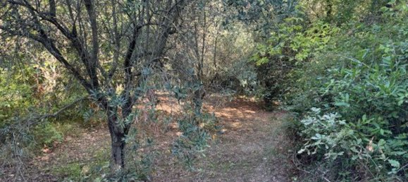  Land in Sessa Aurunca, Italy No. 356990 28