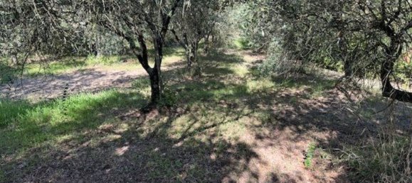  Land in Sessa Aurunca, Italy No. 356990 32