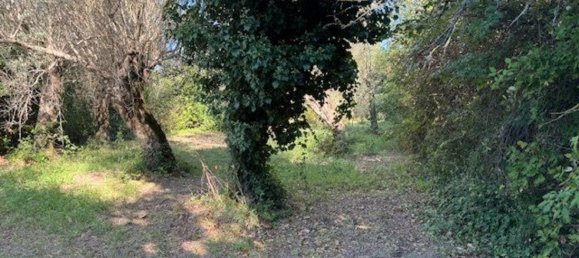  Land in Sessa Aurunca, Italy No. 356990 22