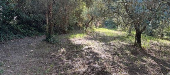  Land in Sessa Aurunca, Italy No. 356990 26