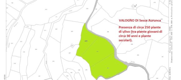  Land in Sessa Aurunca, Italy No. 356990 36