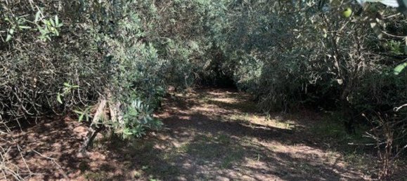  Land in Sessa Aurunca, Italy No. 356990 31