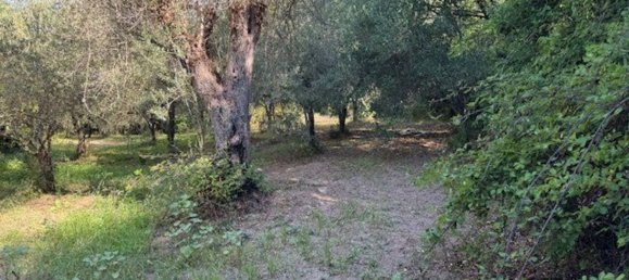  Land in Sessa Aurunca, Italy No. 356990 35
