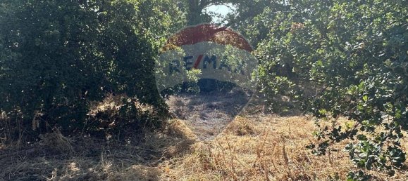 1460m² Land in Gravina di Catania, Italy No. 292984 8