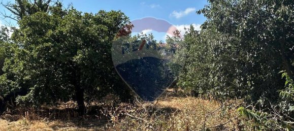 1460m² Land in Gravina di Catania, Italy No. 292984 10