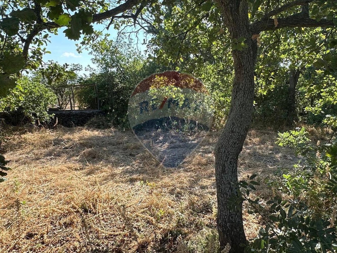 1460m² Land in Gravina di Catania, Italy No. 292984