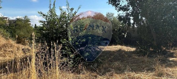 1460m² Land in Gravina di Catania, Italy No. 292984 3