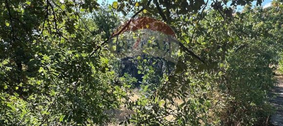 1460m² Land in Gravina di Catania, Italy No. 292984 5