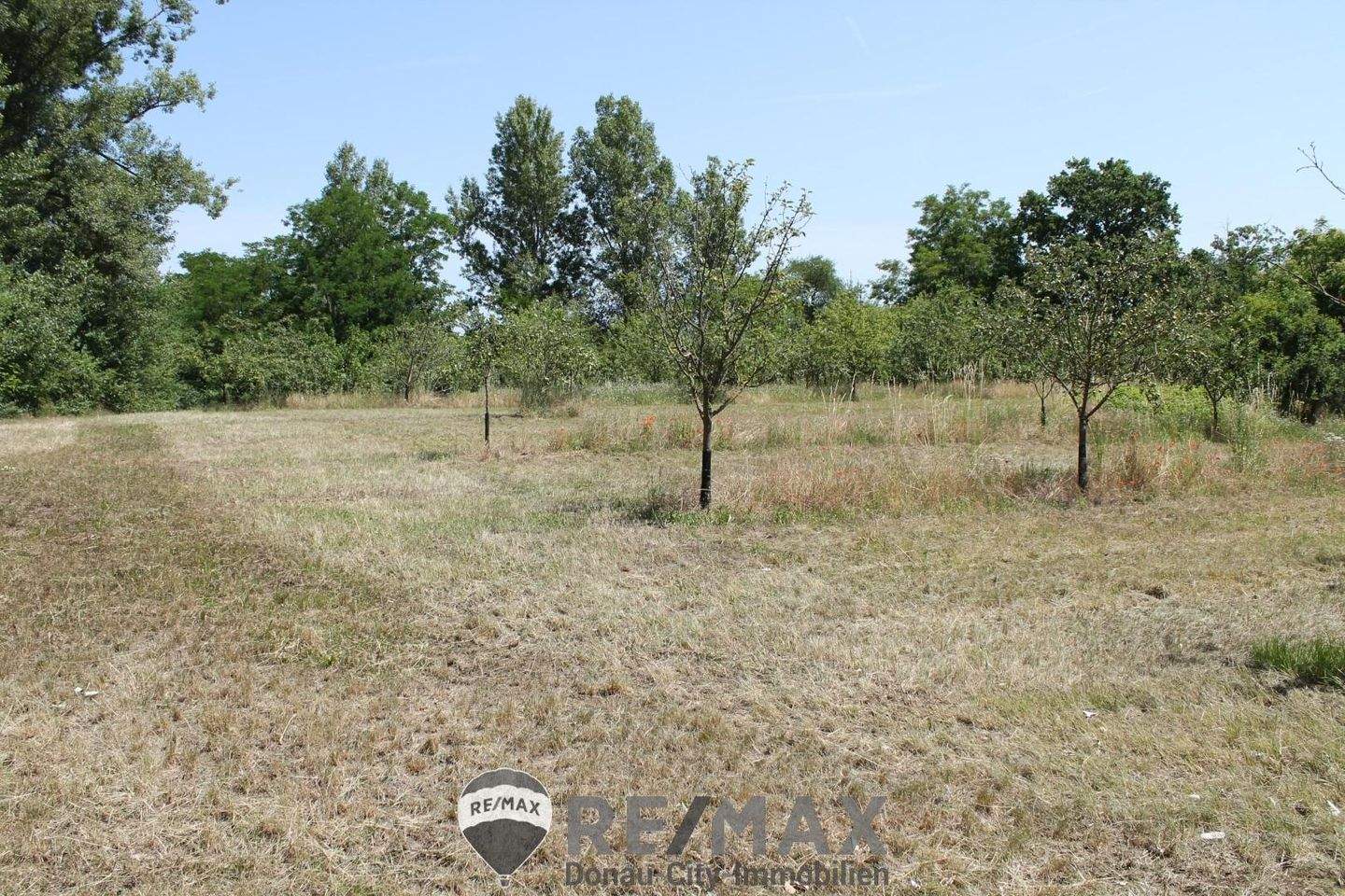 Terreno en Sierndorf, Austria No. 134838