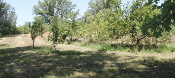 Terreno en Sierndorf, Austria No. 134838 2