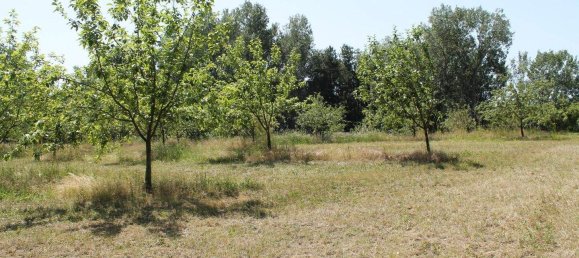 Terreno en Sierndorf, Austria No. 134838 3