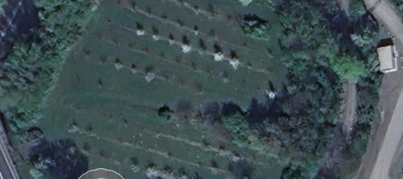 Terreno en Sierndorf, Austria No. 134838 5