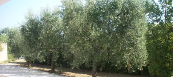 Villa T3 em Grottammare, Italy N.º 253723 4