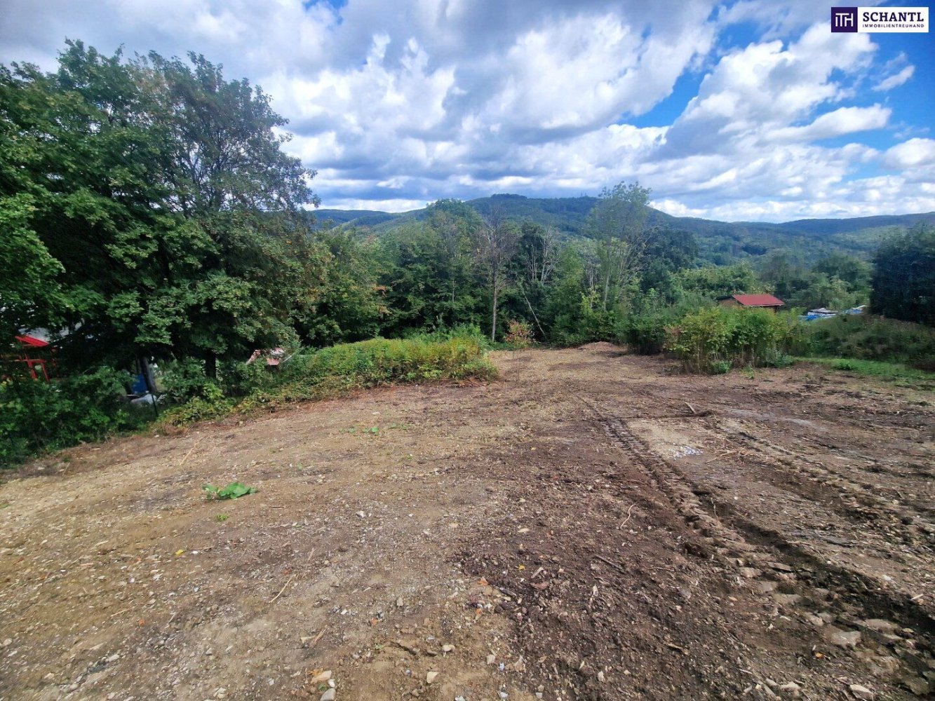  Land in Penzing, Austria No. 209856